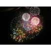 Silvester Silvester