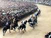 Palio in Siena Palio in Siena