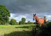 Reiten Toskana Reiten Toskana