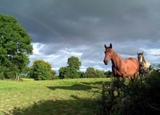 Reiten Toskana