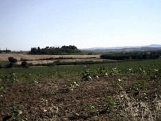 Val di Chiana - Toskana