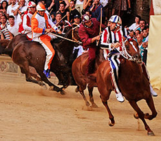 Palio in Siena