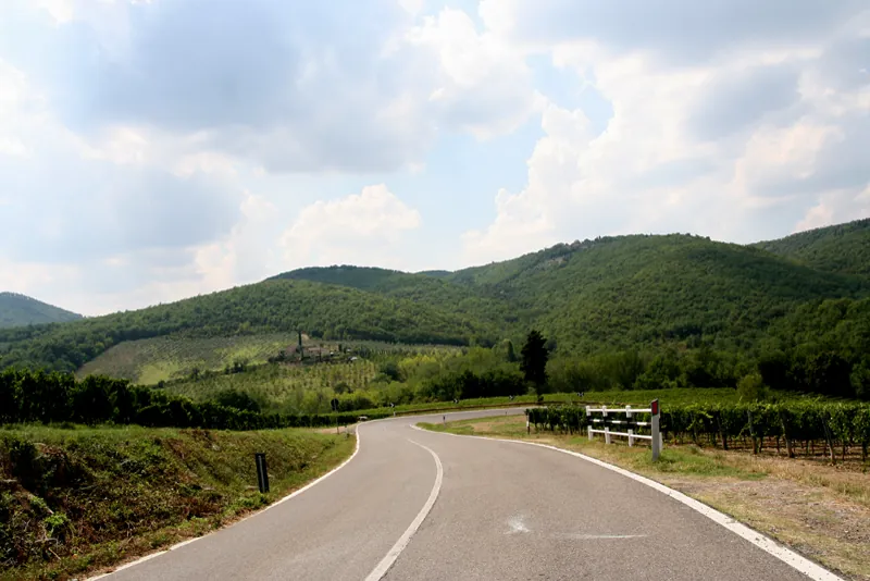 Landstraße zwischen Weinbergen und bewaldeten Hügeln im Chianti