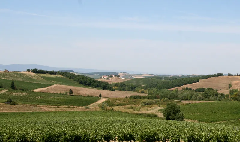 Weinlandschaft in der Toskana